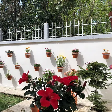 Apartmán Ramo's Charming 2-bedroom With Sunlit Veranda - 3rd *